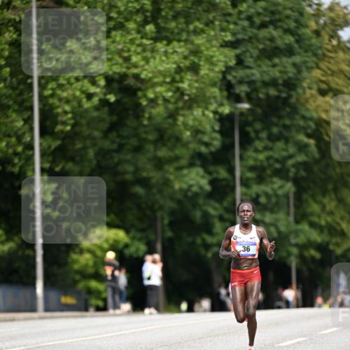 29.06.2025 - hella hamburg halbmarathon Dr. Thomas Lammeyer http://msf.ph/oto/8150128 29.06.2025 09:38:11 Kennedybrücke 36, 39, 47 meine-sportfotos.de