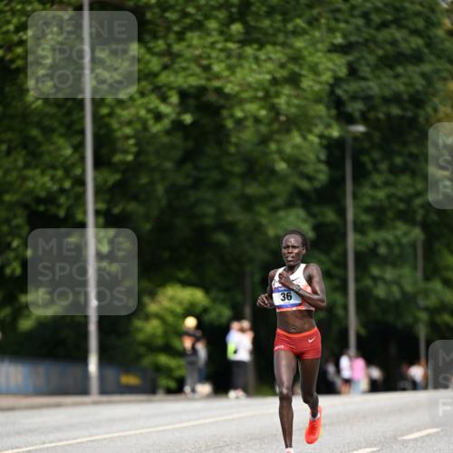 29.06.2025 - hella hamburg halbmarathon Dr. Thomas Lammeyer http://msf.ph/oto/8150159 29.06.2025 09:38:12 Kennedybrücke 36, 39, 47 meine-sportfotos.de