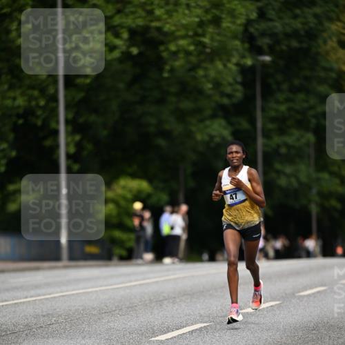 29.06.2025 - hella hamburg halbmarathon Dr. Thomas Lammeyer http://msf.ph/oto/8150385 29.06.2025 09:38:25 Kennedybrücke 28, 36, 39, 47 meine-sportfotos.de