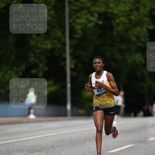 29.06.2025 - hella hamburg halbmarathon Dr. Thomas Lammeyer http://msf.ph/oto/8150410 29.06.2025 09:38:27 Kennedybrücke 28, 39, 47 meine-sportfotos.de