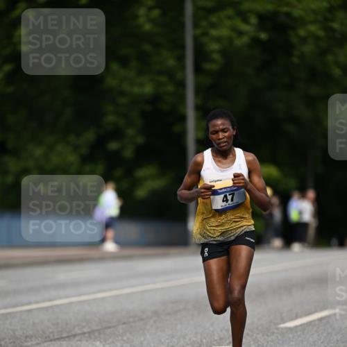 29.06.2025 - hella hamburg halbmarathon Dr. Thomas Lammeyer http://msf.ph/oto/8150478 29.06.2025 09:38:27 Kennedybrücke 28, 39, 47 meine-sportfotos.de