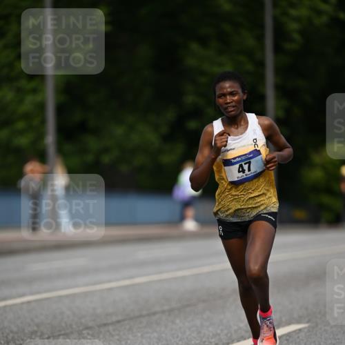 29.06.2025 - hella hamburg halbmarathon Dr. Thomas Lammeyer http://msf.ph/oto/8150510 29.06.2025 09:38:28 Kennedybrücke 28, 39, 47 meine-sportfotos.de