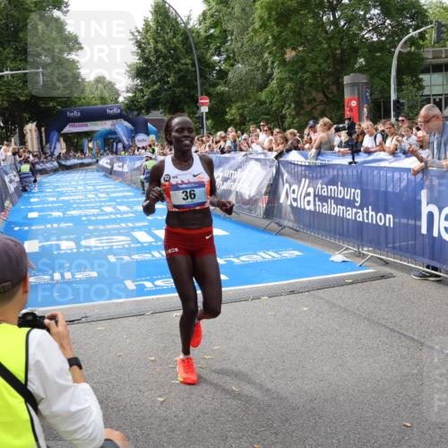 29.06.2025 - hella hamburg halbmarathon Zöllner http://msf.ph/oto/8166328 29.06.2025 10:12:03 Ziel 36 meine-sportfotos.de