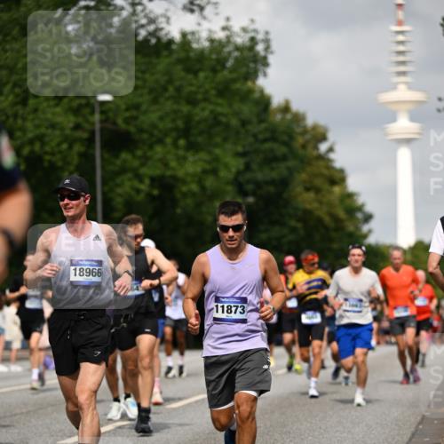 29.06.2025 - hella hamburg halbmarathon Dr. Thomas Lammeyer http://msf.ph/oto/8170943 29.06.2025 10:09:44 Kennedybrücke 1863, 2288, 2298, 3461, 4014, 4220, 4782, 4868, 5073, 6059, 7138, 7302, 8727, 8999, 9007, 9019, 9075, 9165, 9339, 9361, 9559, 9680, 9736, 9737, 9738, 10343, 10694, 10791 meine-sportfotos.de