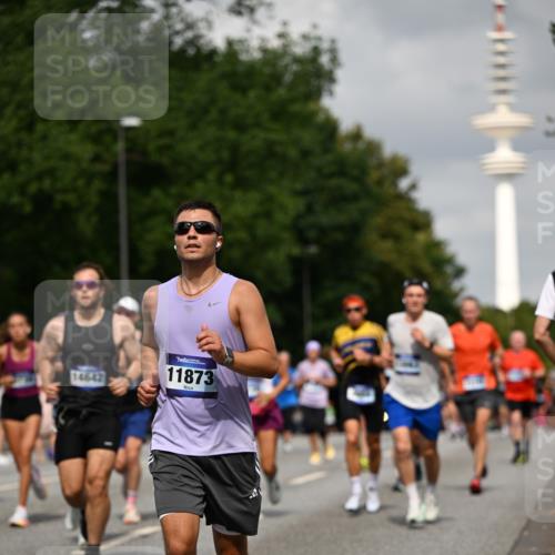 29.06.2025 - hella hamburg halbmarathon Dr. Thomas Lammeyer http://msf.ph/oto/8171740 29.06.2025 10:09:45 Kennedybrücke 1863, 2288, 2298, 3461, 4014, 4220, 4782, 4868, 5073, 5762, 6059, 7138, 7302, 8727, 8999, 9007, 9019, 9075, 9339, 9361, 9559, 9680, 9736, 9737, 9738, 10343, 10694, 10791, 10998 meine-sportfotos.de