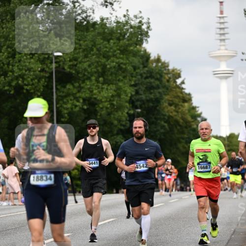 29.06.2025 - hella hamburg halbmarathon Dr. Thomas Lammeyer http://msf.ph/oto/8181640 29.06.2025 10:10:24 Kennedybrücke 1766, 1830, 1936, 2471, 2624, 3062, 4169, 4542, 5431, 6014, 7741, 8051, 8290, 8744, 8909, 10214, 10781 meine-sportfotos.de