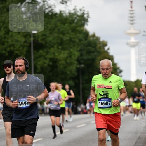 29.06.2025 - hella hamburg halbmarathon Dr. Thomas Lammeyer http://msf.ph/oto/8182434 29.06.2025 10:10:26 Kennedybrücke 1766, 1830, 1936, 2471, 2624, 3062, 4169, 4542, 5431, 6014, 7741, 8051, 8290, 8744, 10214, 10781 meine-sportfotos.de