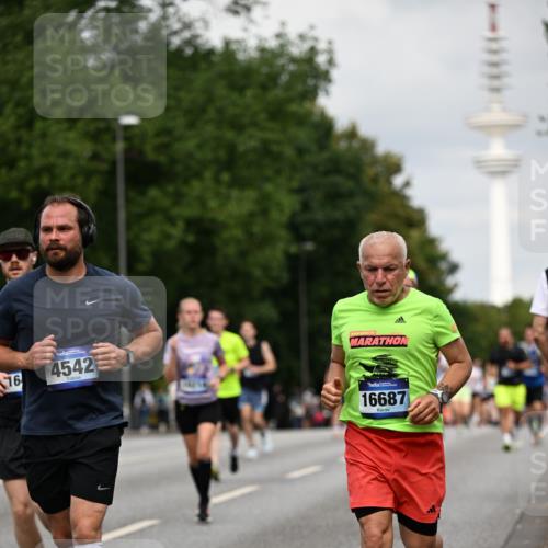 29.06.2025 - hella hamburg halbmarathon Dr. Thomas Lammeyer http://msf.ph/oto/8182460 29.06.2025 10:10:26 Kennedybrücke 1766, 1830, 1936, 2471, 2624, 3062, 4169, 4542, 5431, 6014, 7741, 8051, 8290, 8744, 10214, 10781 meine-sportfotos.de