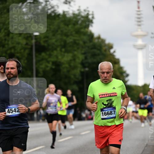 29.06.2025 - hella hamburg halbmarathon Dr. Thomas Lammeyer http://msf.ph/oto/8182478 29.06.2025 10:10:26 Kennedybrücke 1766, 1830, 1936, 2471, 2624, 3062, 4169, 4542, 5431, 6014, 7741, 8051, 8290, 8744, 10214, 10781 meine-sportfotos.de