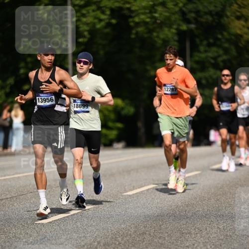 29.06.2025 - hella hamburg halbmarathon Dr. Thomas Lammeyer http://msf.ph/oto/8197717 29.06.2025 09:47:59 Kennedybrücke 1065, 2021, 2879, 3201, 3845, 4678, 5367, 6619, 7349, 8473, 8731, 10156, 10848 meine-sportfotos.de