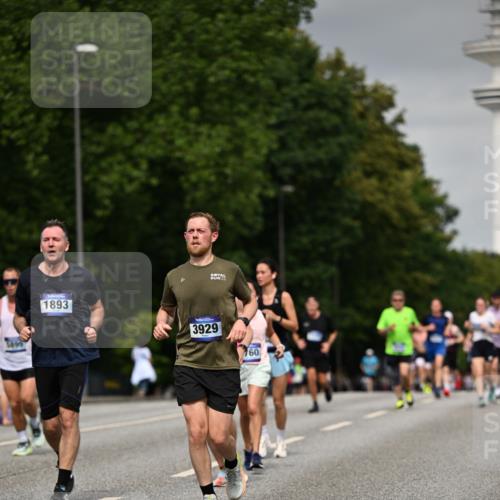 29.06.2025 - hella hamburg halbmarathon Dr. Thomas Lammeyer http://msf.ph/oto/8202360 29.06.2025 10:11:49 Kennedybrücke 1173, 1893, 1993, 2032, 2136, 3328, 3929, 4262, 5242, 5899, 6196, 6518, 6707, 6713, 6715, 6833, 7476, 7760, 8585, 9338, 9967, 10700 meine-sportfotos.de