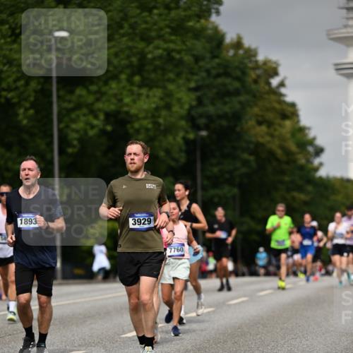 29.06.2025 - hella hamburg halbmarathon Dr. Thomas Lammeyer http://msf.ph/oto/8202388 29.06.2025 10:11:49 Kennedybrücke 1173, 1893, 1993, 2032, 2136, 3328, 3929, 4262, 5242, 5899, 6196, 6518, 6707, 6713, 6715, 6833, 7476, 7760, 8585, 9338, 9967, 10700 meine-sportfotos.de