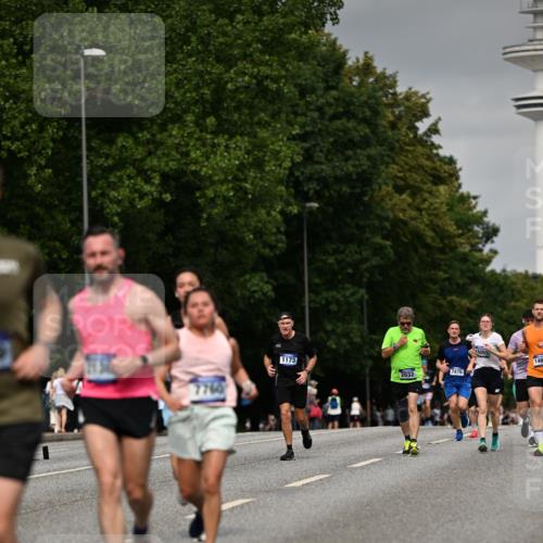 29.06.2025 - hella hamburg halbmarathon Dr. Thomas Lammeyer http://msf.ph/oto/8202704 29.06.2025 10:11:51 Kennedybrücke 1079, 1173, 1893, 1993, 2032, 2136, 3328, 3922, 3929, 4262, 5242, 5899, 6196, 6518, 6707, 6713, 6715, 6833, 7019, 7476, 7760, 8585, 9338, 9967 meine-sportfotos.de