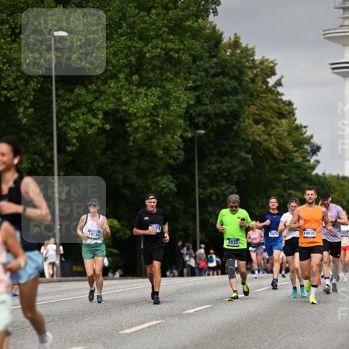 29.06.2025 - hella hamburg halbmarathon Dr. Thomas Lammeyer http://msf.ph/oto/8203319 29.06.2025 10:11:52 Kennedybrücke 1079, 1173, 1893, 1993, 2032, 2136, 3328, 3922, 3929, 4262, 5242, 5899, 6196, 6518, 6707, 6713, 6715, 6833, 7019, 7476, 7760, 9338, 9967 meine-sportfotos.de