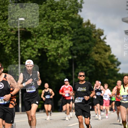 29.06.2025 - hella hamburg halbmarathon Dr. Thomas Lammeyer http://msf.ph/oto/8207041 29.06.2025 09:48:37 Kennedybrücke 1758, 1990, 2689, 2746, 3043, 4050, 4679, 4698, 4749, 5070, 5328, 5746, 5826, 6358, 6781, 7272, 7481, 7723, 8209, 8883, 9137, 9381, 9634, 10017, 10171, 10486, 11169, 11413 meine-sportfotos.de