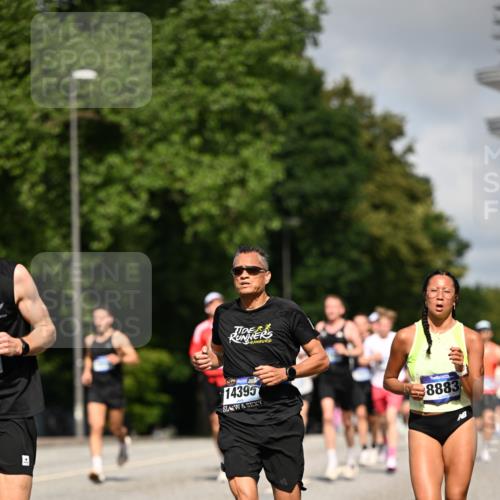29.06.2025 - hella hamburg halbmarathon Dr. Thomas Lammeyer http://msf.ph/oto/8207821 29.06.2025 09:48:39 Kennedybrücke 1758, 1990, 2689, 2746, 3043, 4050, 4129, 4679, 4698, 4749, 5070, 5328, 5746, 5826, 6358, 6781, 7272, 7481, 7723, 8190, 8209, 8883, 9137, 9381, 9634, 10017, 10171, 11169, 11413 meine-sportfotos.de
