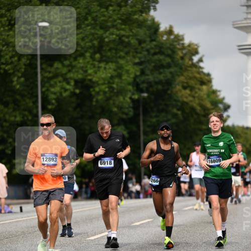 29.06.2025 - hella hamburg halbmarathon Dr. Thomas Lammeyer http://msf.ph/oto/8211524 29.06.2025 10:12:34 Kennedybrücke 1147, 1188, 1527, 2190, 2309, 2978, 4864, 5100, 5885, 6590, 6918, 7348, 7453, 9071, 9457, 9616, 9718, 9966 meine-sportfotos.de