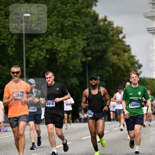 29.06.2025 - hella hamburg halbmarathon Dr. Thomas Lammeyer http://msf.ph/oto/8211621 29.06.2025 10:12:34 Kennedybrücke 1147, 1188, 1527, 2190, 2309, 2978, 4864, 5100, 5885, 6590, 6918, 7348, 7453, 9071, 9457, 9616, 9718, 9966 meine-sportfotos.de