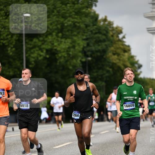 29.06.2025 - hella hamburg halbmarathon Dr. Thomas Lammeyer http://msf.ph/oto/8211666 29.06.2025 10:12:35 Kennedybrücke 1147, 1188, 1527, 2190, 2309, 2978, 4864, 5100, 5885, 6590, 6918, 7348, 7453, 9071, 9457, 9616, 9718, 9966 meine-sportfotos.de
