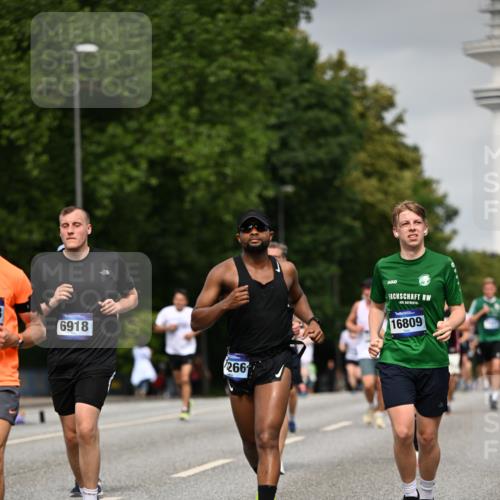 29.06.2025 - hella hamburg halbmarathon Dr. Thomas Lammeyer http://msf.ph/oto/8211680 29.06.2025 10:12:35 Kennedybrücke 1147, 1188, 1527, 2190, 2309, 2978, 4864, 5100, 5885, 6590, 6918, 7348, 7453, 9071, 9457, 9616, 9718, 9966 meine-sportfotos.de