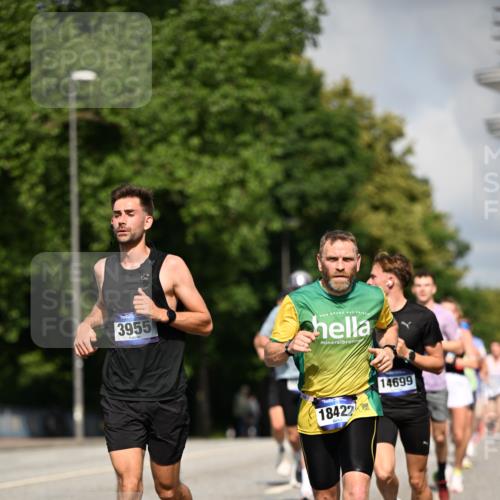 29.06.2025 - hella hamburg halbmarathon Dr. Thomas Lammeyer http://msf.ph/oto/8221626 29.06.2025 09:49:42 Kennedybrücke 1344, 2525, 3809, 3843, 3955, 4477, 5042, 6169, 6495, 7534, 7628, 7845, 7901, 8784, 8956, 10298, 10453, 10865, 10929, 11199, 11230 meine-sportfotos.de