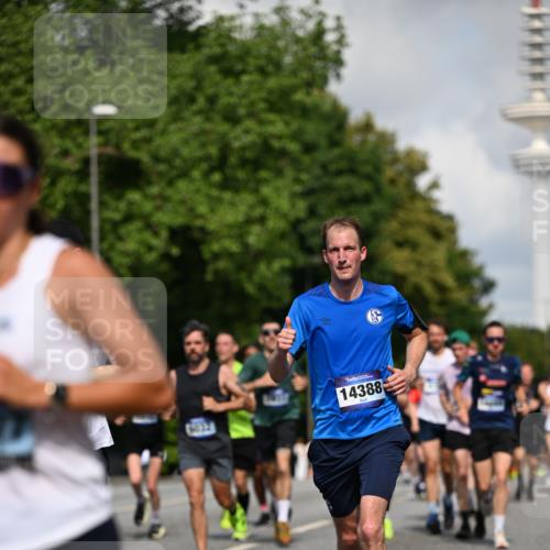 29.06.2025 - hella hamburg halbmarathon Dr. Thomas Lammeyer http://msf.ph/oto/8234871 29.06.2025 09:50:36 Kennedybrücke 1002, 1396, 1407, 1411, 1910, 1959, 2228, 2563, 2836, 2851, 3790, 3935, 4246, 4740, 6032, 6305, 6473, 6915, 7080, 7622, 7831, 7867, 7972, 8366, 9376, 9508, 10771, 11055, 11370 meine-sportfotos.de