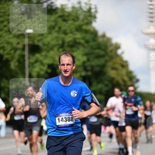 29.06.2025 - hella hamburg halbmarathon Dr. Thomas Lammeyer http://msf.ph/oto/8235078 29.06.2025 09:50:37 Kennedybrücke 1002, 1396, 1407, 1411, 1910, 1959, 2228, 2563, 2836, 2851, 3790, 3935, 4246, 4740, 6032, 6305, 6473, 6915, 7080, 7622, 7831, 7867, 7972, 8366, 9376, 9508, 10771, 11055, 11370 meine-sportfotos.de
