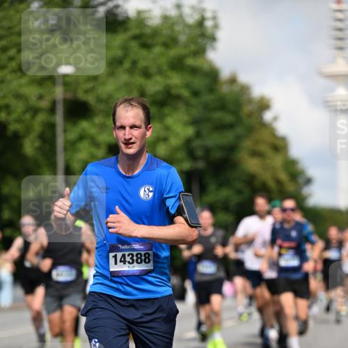 29.06.2025 - hella hamburg halbmarathon Dr. Thomas Lammeyer http://msf.ph/oto/8235114 29.06.2025 09:50:37 Kennedybrücke 1002, 1396, 1407, 1411, 1910, 1959, 2228, 2563, 2836, 2851, 3790, 3935, 4246, 4740, 6032, 6305, 6473, 6915, 7080, 7622, 7831, 7867, 7972, 8366, 9376, 9508, 10771, 11055, 11370 meine-sportfotos.de