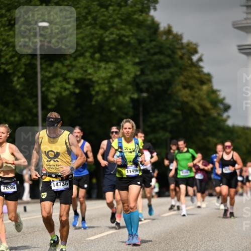 29.06.2025 - hella hamburg halbmarathon Dr. Thomas Lammeyer http://msf.ph/oto/8236403 29.06.2025 10:13:45 Kennedybrücke 1838, 3921, 5511, 7042, 7187, 7333, 7636, 8219, 9366, 9434, 9674, 9781, 10036, 10819, 10943, 11067 meine-sportfotos.de