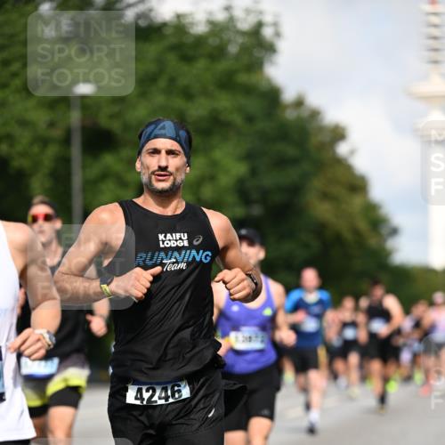 29.06.2025 - hella hamburg halbmarathon Dr. Thomas Lammeyer http://msf.ph/oto/8237798 29.06.2025 09:50:46 Kennedybrücke 1002, 1217, 1910, 2121, 2228, 2404, 2563, 2774, 2851, 3790, 3935, 4246, 4740, 5961, 6032, 6305, 6473, 6915, 7831, 7972, 8366, 8395, 9171, 9376, 9508, 10771, 11055 meine-sportfotos.de