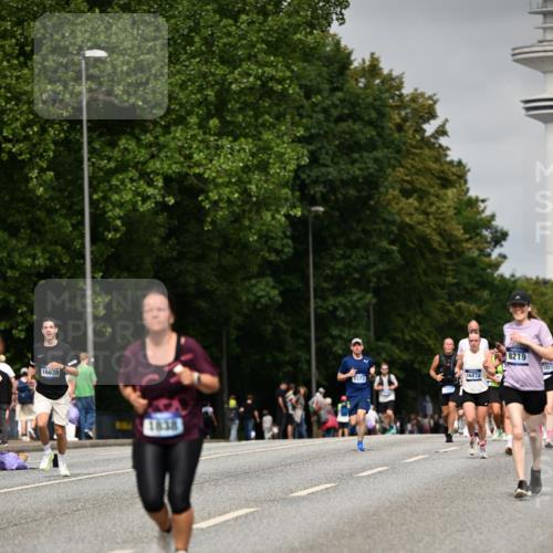 29.06.2025 - hella hamburg halbmarathon Dr. Thomas Lammeyer http://msf.ph/oto/8238855 29.06.2025 10:13:53 Kennedybrücke 1483, 1573, 1838, 3921, 5511, 7042, 7333, 7636, 7685, 8090, 8219, 8890, 9366, 9434, 9674, 9781, 9816, 10036, 10943, 11027, 11180 meine-sportfotos.de