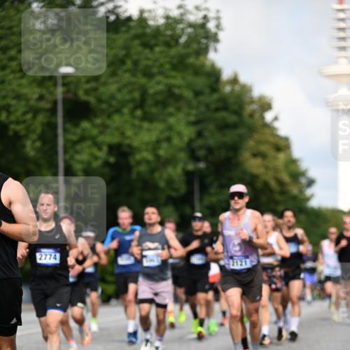 29.06.2025 - hella hamburg halbmarathon Dr. Thomas Lammeyer http://msf.ph/oto/8240655 29.06.2025 09:50:54 Kennedybrücke 1002, 1217, 2121, 2228, 2404, 2774, 3783, 4246, 4740, 5961, 6915, 7972, 8366, 8395, 9171, 10771, 11055 meine-sportfotos.de