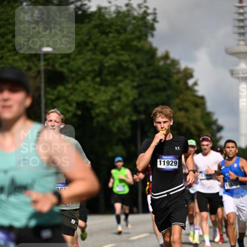 29.06.2025 - hella hamburg halbmarathon Dr. Thomas Lammeyer http://msf.ph/oto/8248724 29.06.2025 09:51:32 Kennedybrücke 1164, 1385, 1644, 1743, 2296, 2714, 2767, 3959, 4860, 5091, 5315, 6684, 6990, 7884, 8362, 9178, 9944, 10384, 10793, 10900, 10968, 11202, 11227 meine-sportfotos.de