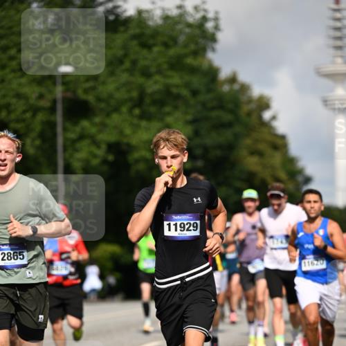 29.06.2025 - hella hamburg halbmarathon Dr. Thomas Lammeyer http://msf.ph/oto/8248919 29.06.2025 09:51:33 Kennedybrücke 1164, 1385, 1644, 1743, 2296, 2714, 2767, 3959, 4860, 5091, 5315, 6684, 6990, 7884, 8362, 9178, 9944, 10384, 10404, 10793, 10900, 11202, 11227 meine-sportfotos.de
