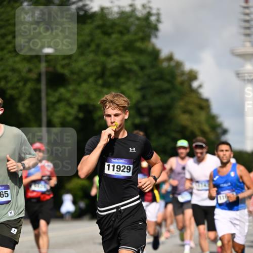 29.06.2025 - hella hamburg halbmarathon Dr. Thomas Lammeyer http://msf.ph/oto/8248948 29.06.2025 09:51:33 Kennedybrücke 1164, 1385, 1644, 1743, 2296, 2714, 2767, 3959, 4860, 5091, 5315, 6684, 6990, 7884, 8362, 9178, 9944, 10384, 10404, 10793, 10900, 11202, 11227 meine-sportfotos.de