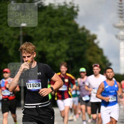 29.06.2025 - hella hamburg halbmarathon Dr. Thomas Lammeyer http://msf.ph/oto/8248988 29.06.2025 09:51:33 Kennedybrücke 1164, 1385, 1644, 1743, 2296, 2714, 2767, 3959, 4860, 5091, 5315, 6684, 6990, 7884, 8362, 9178, 9944, 10384, 10404, 10793, 10900, 11202, 11227 meine-sportfotos.de