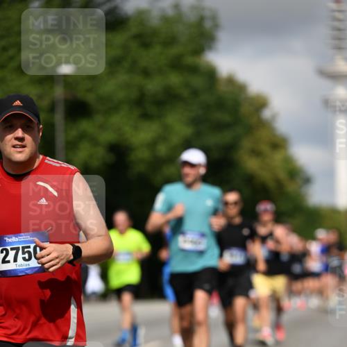 29.06.2025 - hella hamburg halbmarathon Dr. Thomas Lammeyer http://msf.ph/oto/8277444 29.06.2025 09:53:06 Kennedybrücke 1343, 1445, 1603, 2573, 2745, 2750, 2980, 3116, 3136, 3282, 4148, 4766, 5648, 5889, 6123, 6149, 6771, 7035, 7229, 8358, 8370, 8465, 9264, 9265, 9296, 9914, 10930 meine-sportfotos.de
