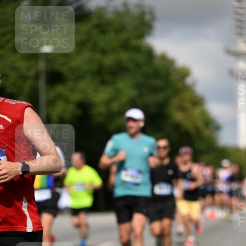 29.06.2025 - hella hamburg halbmarathon Dr. Thomas Lammeyer http://msf.ph/oto/8277460 29.06.2025 09:53:06 Kennedybrücke 1343, 1445, 1603, 2573, 2745, 2750, 2980, 3116, 3136, 3282, 4148, 4766, 5648, 5889, 6123, 6149, 6771, 7035, 7229, 8358, 8370, 8465, 9264, 9265, 9296, 9914, 10930 meine-sportfotos.de
