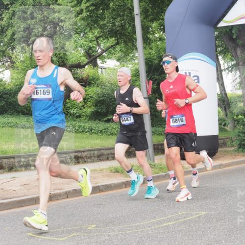 29.06.2025 - hella hamburg halbmarathon KatJ http://msf.ph/oto/8297377 29.06.2025 10:13:37 Zwischen KM18-KM19 2459, 6699, 6816 meine-sportfotos.de
