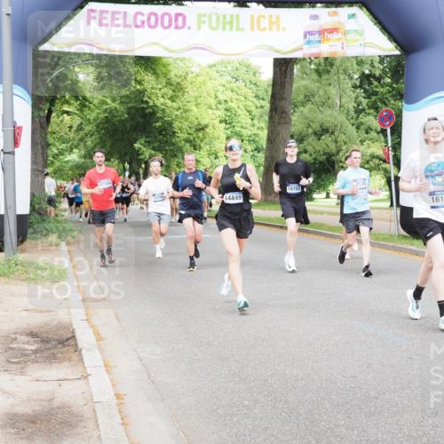 29.06.2025 - hella hamburg halbmarathon MichiJ http://msf.ph/oto/8298900 29.06.2025 10:34:30 Zwischen KM18-KM19 2138, 8668, 11021, 14062, 14262, 14449, 16127, 16136, 16466, 16475, 18211, 18476, 18702, 19105 meine-sportfotos.de