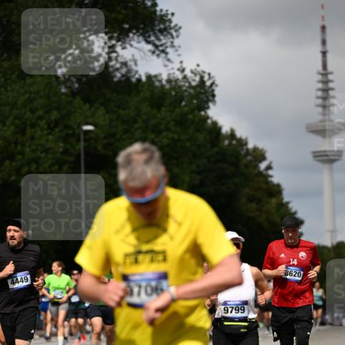 29.06.2025 - hella hamburg halbmarathon Dr. Thomas Lammeyer http://msf.ph/oto/8299690 29.06.2025 10:37:51 Kennedybrücke 1189, 1275, 1896, 2342, 2526, 2776, 3264, 3340, 3345, 3812, 3848, 4361, 4433, 4449, 4807, 5075, 5141, 5557, 5561, 5584, 5821, 5822, 5887, 6364, 6515, 6516, 6956, 6999, 7027, 7308, 7309, 7633, 7653, 7982, 8157, 8349, 8375, 8377, 8383, 8401, 8620, 8891, 9234, 9258, 9438, 9591, 9706, 9799, 9995, 10048, 10800, 11092, 11111, 11229, 11237, 11260 meine-sportfotos.de
