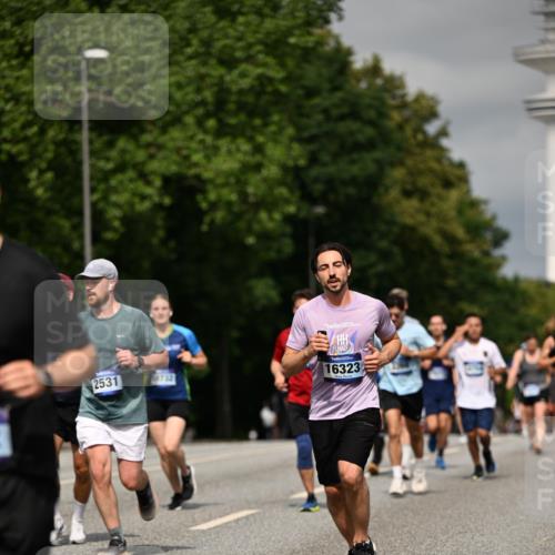 29.06.2025 - hella hamburg halbmarathon Dr. Thomas Lammeyer http://msf.ph/oto/8306839 29.06.2025 10:16:48 Kennedybrücke 1020, 1051, 2531, 2942, 3360, 3363, 4187, 4532, 6489, 7014, 7873, 8398, 8405, 9705, 10067, 10409, 11025 meine-sportfotos.de
