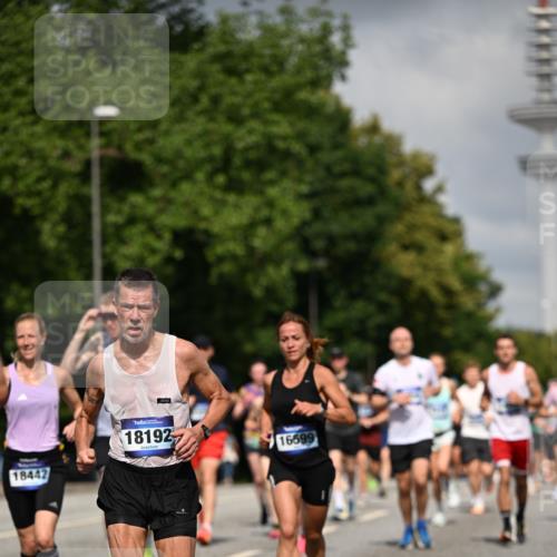 29.06.2025 - hella hamburg halbmarathon Dr. Thomas Lammeyer http://msf.ph/oto/8307190 29.06.2025 09:54:31 Kennedybrücke 1256, 1441, 1677, 1962, 2546, 2579, 3056, 4888, 4889, 4893, 5026, 5087, 5472, 5506, 5752, 5916, 6080, 6429, 6639, 6721, 6901, 7110, 7116, 7284, 7635, 8091, 8122, 8319, 8574, 8966, 9313, 9833, 10064, 10415, 10469, 11284 meine-sportfotos.de