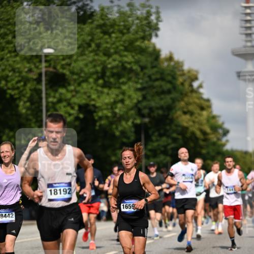 29.06.2025 - hella hamburg halbmarathon Dr. Thomas Lammeyer http://msf.ph/oto/8307205 29.06.2025 09:54:31 Kennedybrücke 1256, 1441, 1677, 1962, 2546, 2579, 3056, 4888, 4889, 4893, 5026, 5087, 5472, 5506, 5752, 5916, 6080, 6429, 6639, 6721, 6901, 7110, 7116, 7284, 7635, 8091, 8122, 8319, 8574, 8966, 9313, 9833, 10064, 10415, 10469, 11284 meine-sportfotos.de