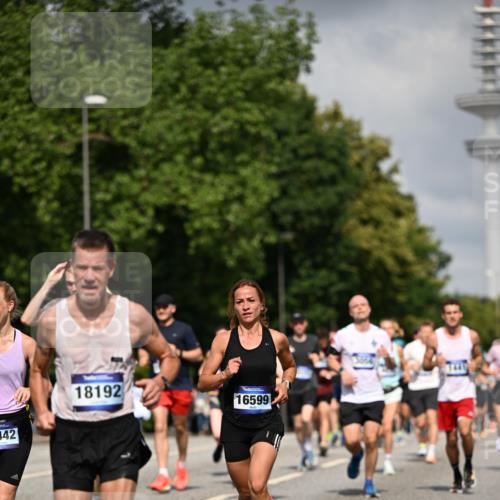 29.06.2025 - hella hamburg halbmarathon Dr. Thomas Lammeyer http://msf.ph/oto/8307637 29.06.2025 09:54:31 Kennedybrücke 1256, 1441, 1677, 1962, 2546, 2579, 3056, 4888, 4889, 4893, 5026, 5087, 5472, 5506, 5752, 5916, 6080, 6429, 6639, 6721, 6901, 7110, 7116, 7284, 7635, 8091, 8122, 8319, 8574, 8966, 9313, 9833, 10064, 10415, 10469, 11284 meine-sportfotos.de