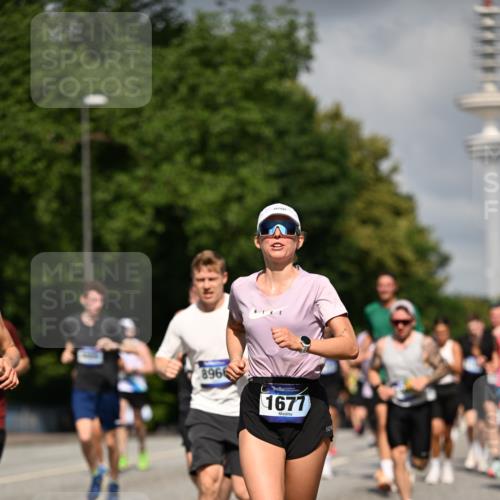 29.06.2025 - hella hamburg halbmarathon Dr. Thomas Lammeyer http://msf.ph/oto/8308269 29.06.2025 09:54:38 Kennedybrücke 1256, 1441, 1677, 1912, 1962, 2579, 3056, 3947, 4854, 4865, 4888, 4889, 5087, 5275, 5506, 6429, 6593, 6639, 6721, 6901, 7116, 7284, 7378, 7635, 7693, 8091, 8122, 8319, 8574, 8966, 9313, 9371, 9755, 9833, 9885, 10064, 10193, 10415, 10469 meine-sportfotos.de