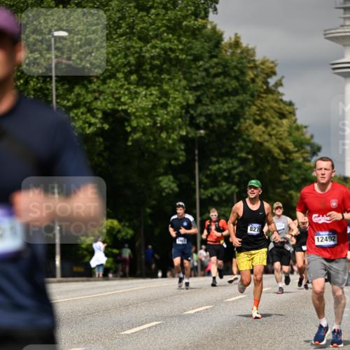 29.06.2025 - hella hamburg halbmarathon Dr. Thomas Lammeyer http://msf.ph/oto/8314791 29.06.2025 10:17:14 Kennedybrücke 1007, 1328, 1859, 2961, 2987, 3218, 3729, 4554, 4950, 5232, 5597, 5598, 6026, 7346, 8115, 8279, 8913, 9128, 9527, 10581 meine-sportfotos.de