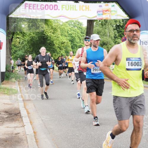 29.06.2025 - hella hamburg halbmarathon MichiJ http://msf.ph/oto/8335350 29.06.2025 10:38:57 Zwischen KM18-KM19 1335, 2955, 3258, 4297, 4404, 5102, 8413, 8508, 10667, 11459, 11512, 12778, 13808, 16003, 16179, 17033, 17978, 18413, 18475 meine-sportfotos.de
