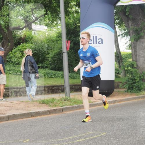 29.06.2025 - hella hamburg halbmarathon KatJ http://msf.ph/oto/8336305 29.06.2025 10:18:08 Zwischen KM18-KM19 1953, 3075 meine-sportfotos.de