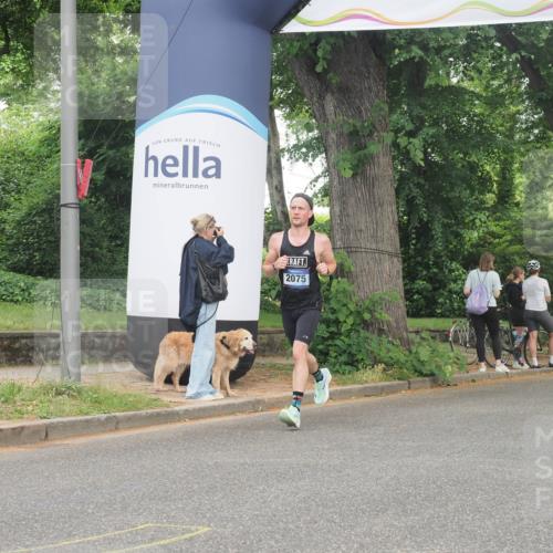 29.06.2025 - hella hamburg halbmarathon KatJ http://msf.ph/oto/8337323 29.06.2025 10:18:27 Zwischen KM18-KM19 3968, 6090 meine-sportfotos.de